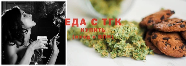 гашик Инта