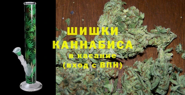 гашик Инта