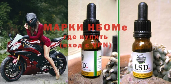 гашик Инта