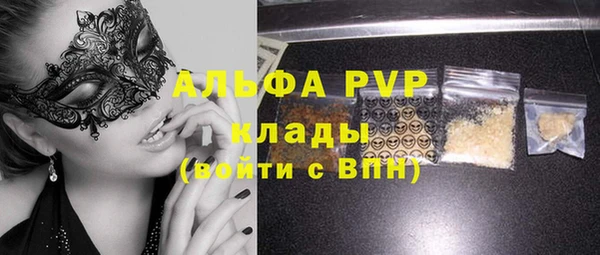 гашик Инта