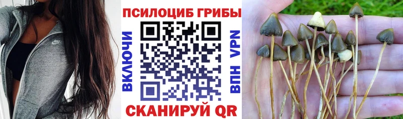 Галлюциногенные грибы ЛСД  Купить  Заволжье 