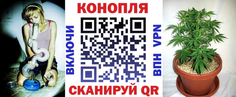 Купить закладки  Заволжье  Каннабис план 